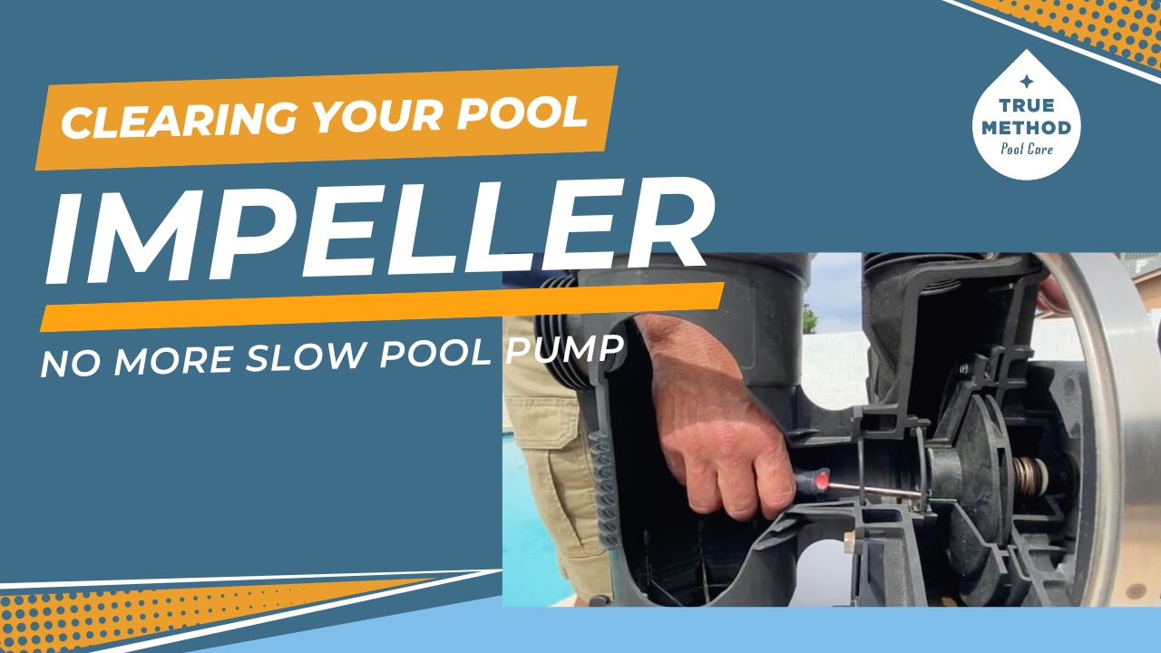 How to Unclog Your Pool Pump Impeller! - True Method Pool Care